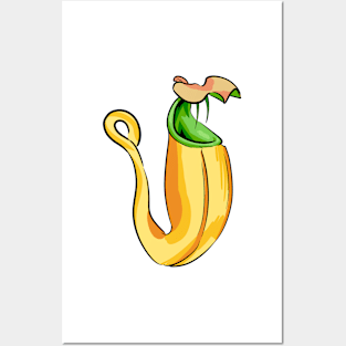 Nepenthes Bicalcarata Pitcher Plant Carnivorous plant gift Posters and Art